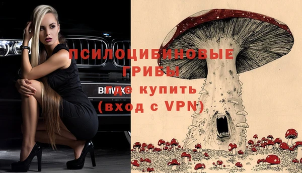 ALPHA PVP Горняк
